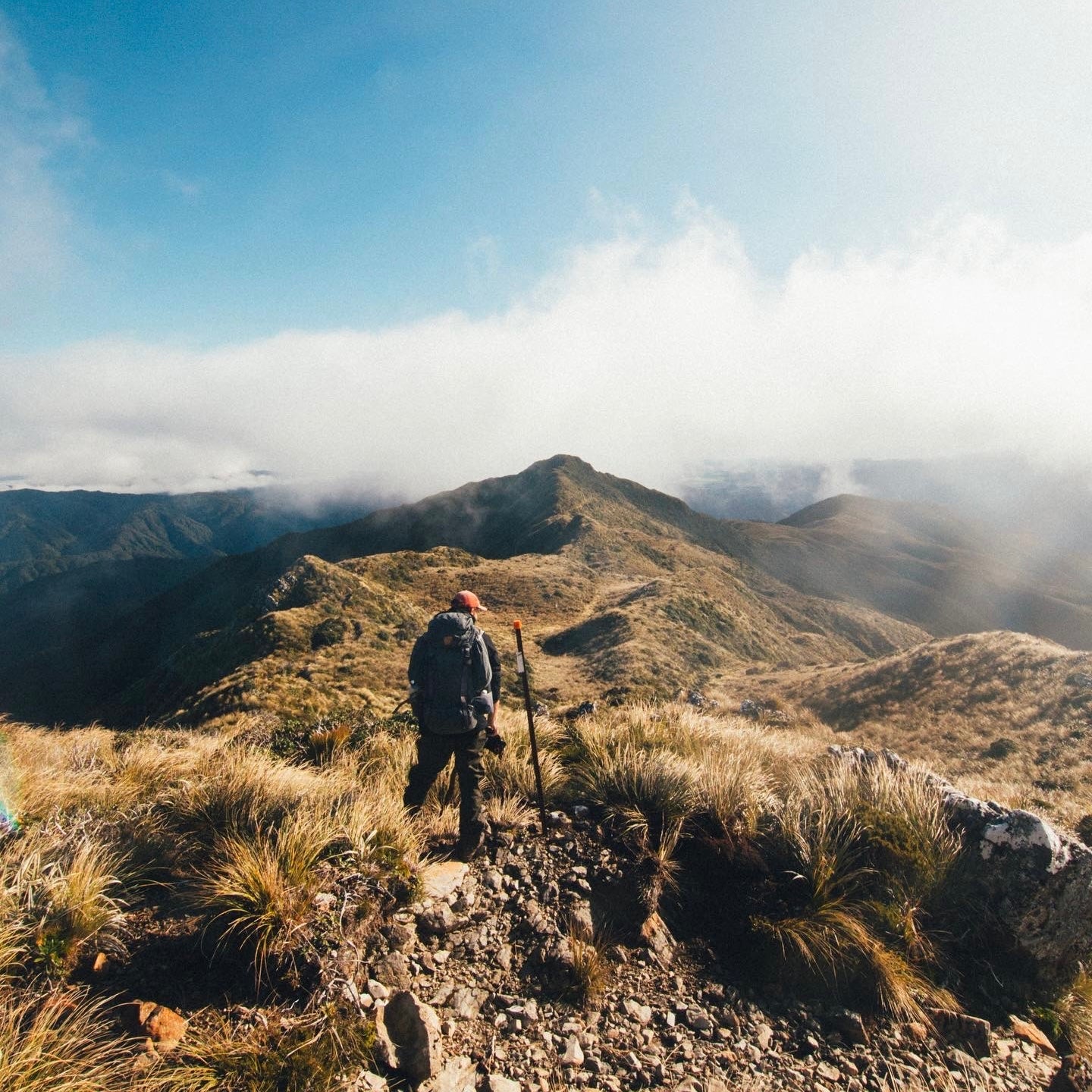 Tararua Forest Park