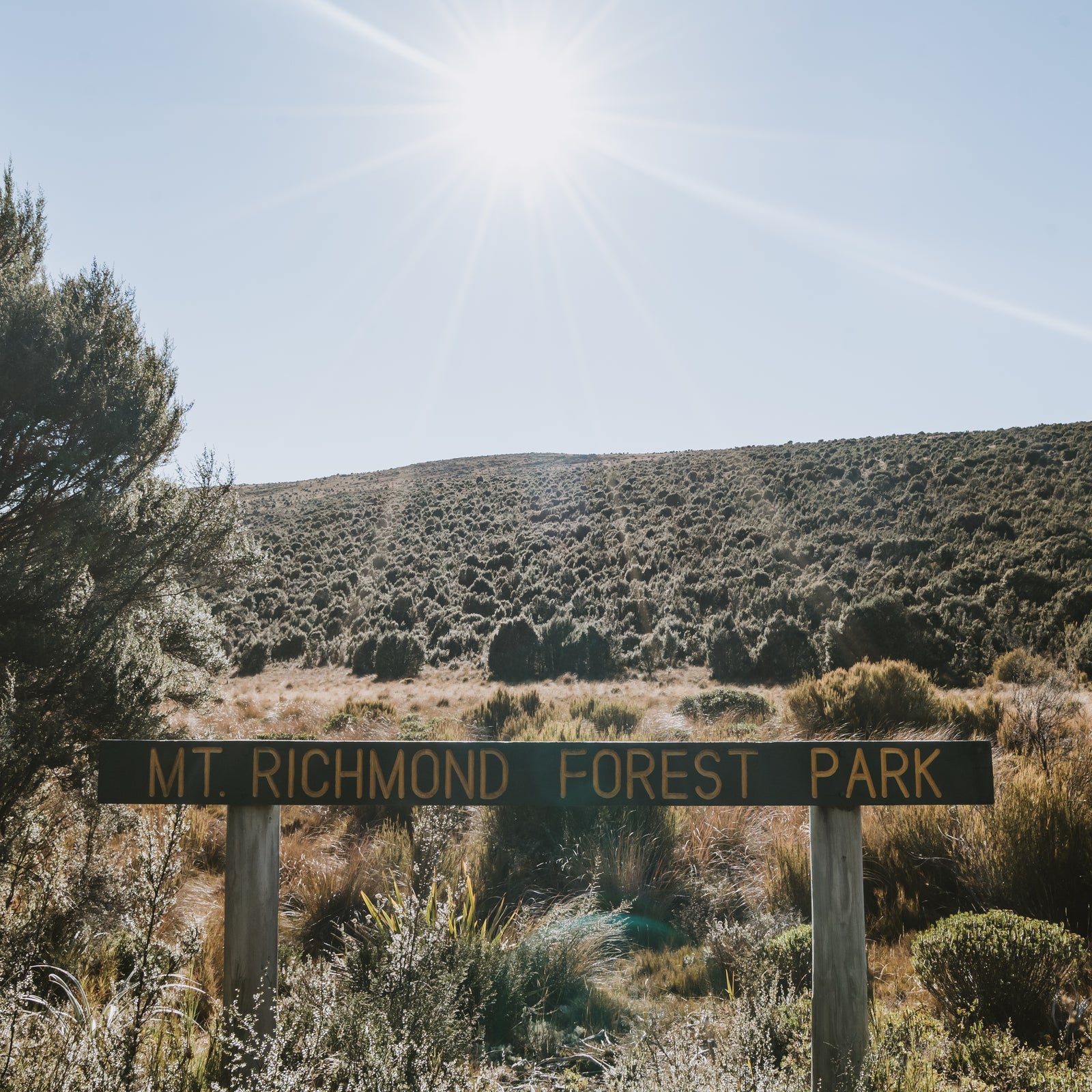 Te Araroa - The Richmond Ranges