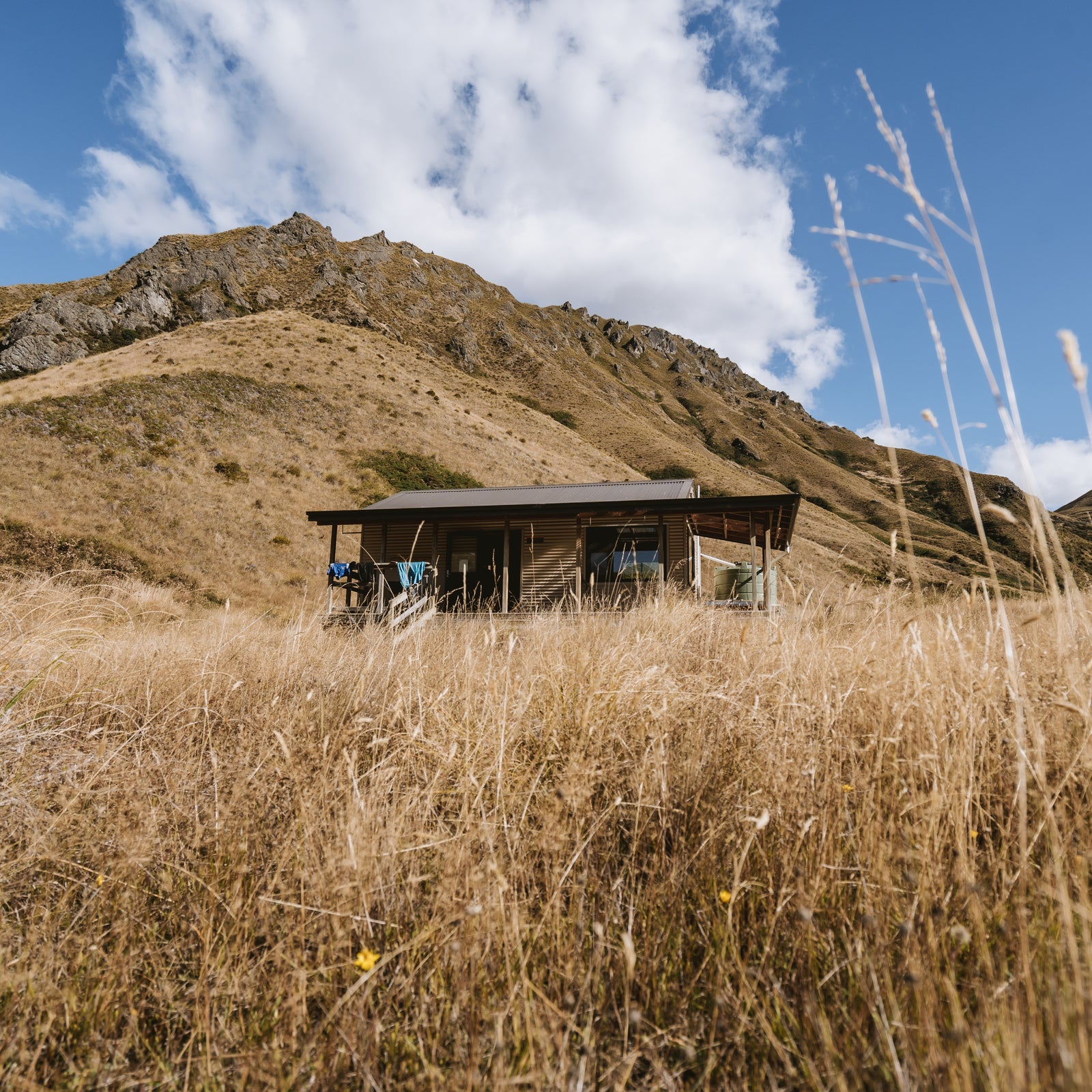 Te Araroa - Motatapu Alpine Track