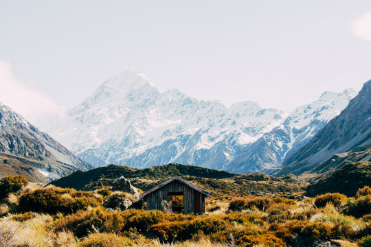 Mt Cook Shaka Print